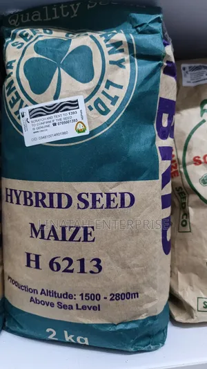 Hybrid Maize Seeds H 6213 2kg