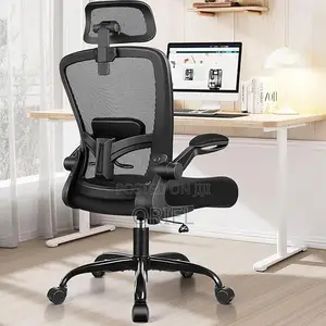 Office Chair : Ergonomic Mesh Office Chair With Adjusted Arms