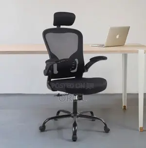 Office Chair : Ergonomic Mesh Office Chair With Adjusted Arms