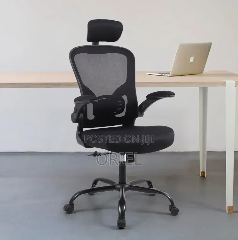 Office Chair : Ergonomic Mesh Office Chair With Adjusted Arms