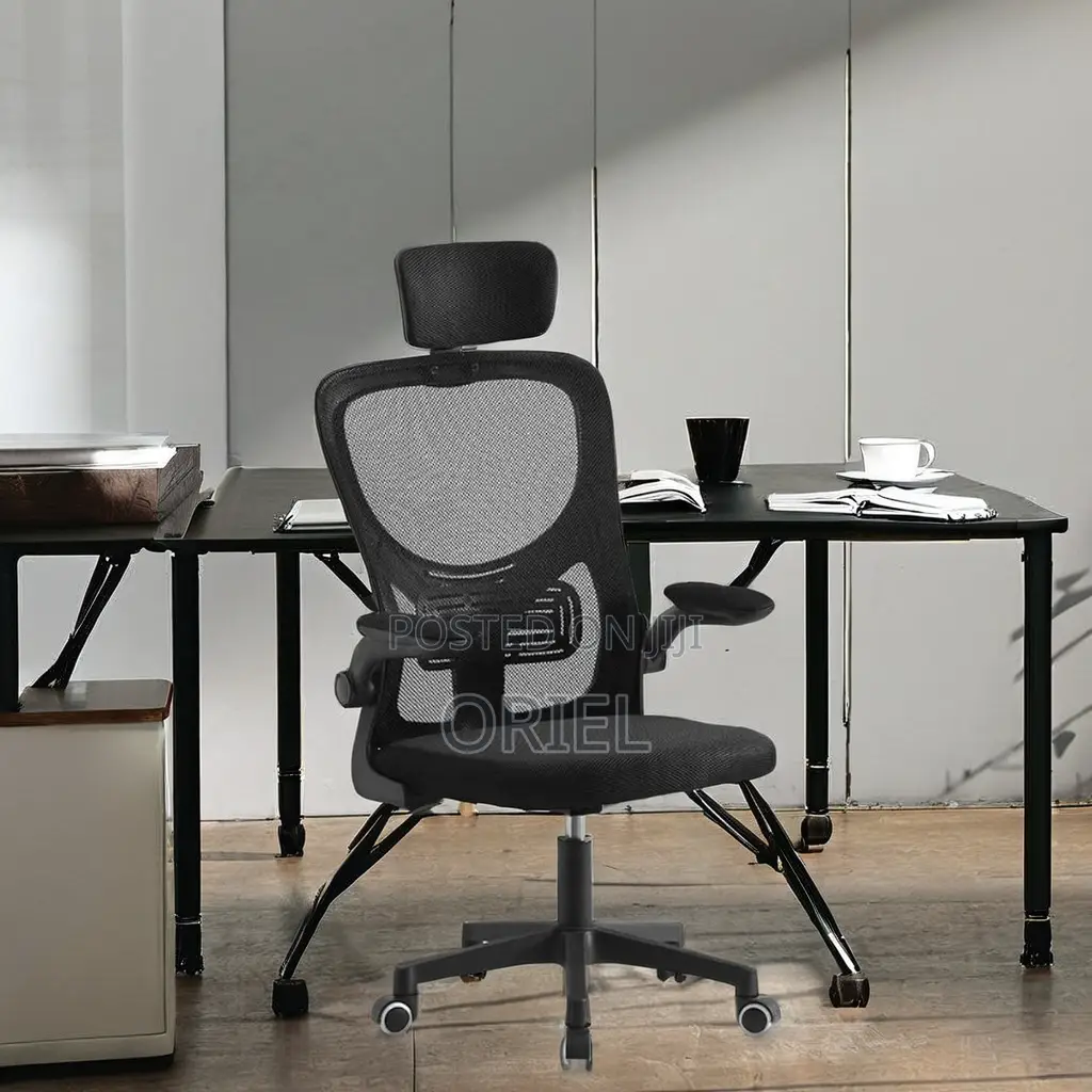 Office Chair : Ergonomic Mesh Office Chair With Adjusted Arms