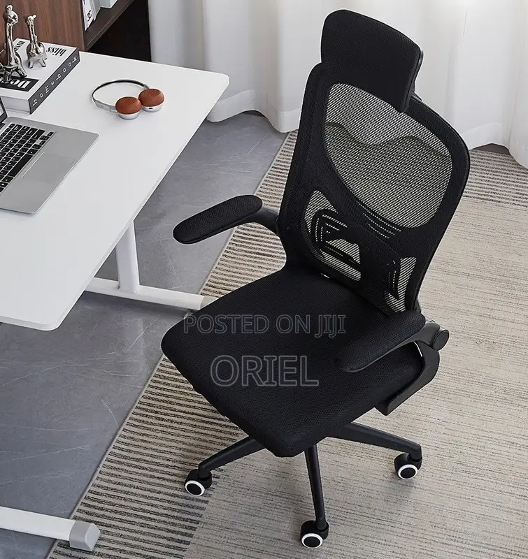 Office Chair : Ergonomic Mesh Office Chair With Adjusted Arms