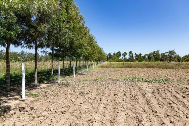 1/8 Acre Plots for Sale in Nanyuki,4km Behind the Nanyuki Airstrip - main view