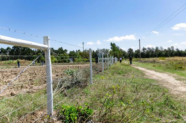 1/8 Acre Plots for Sale in Nanyuki,4km Behind the Nanyuki Airstrip - thumbnail 9