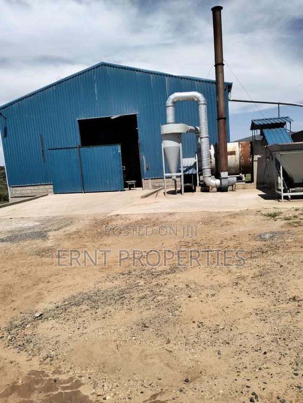 Two Adjacent Quarter Acre Plots in Malili Mukaa - thumbnail 3