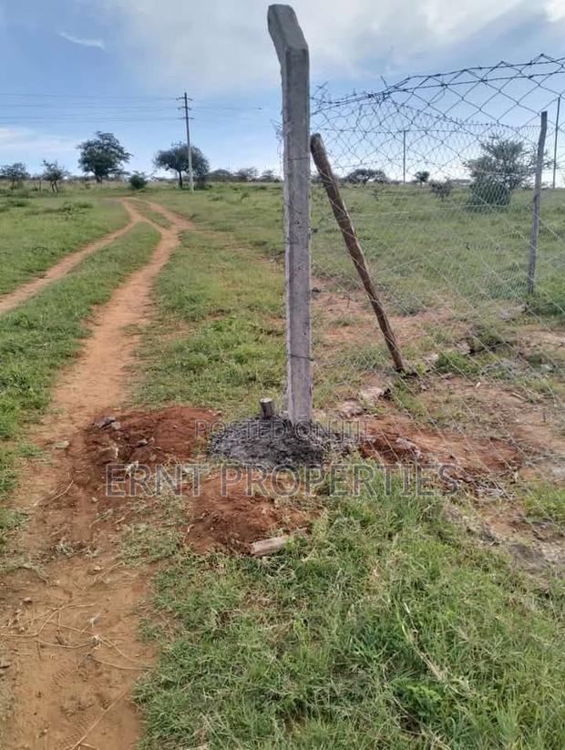 Two Adjacent Quarter Acre Plots in Malili Mukaa - thumbnail 4