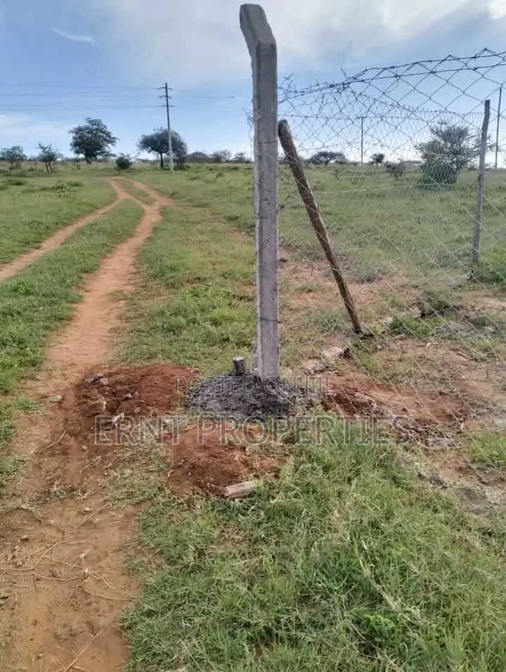 Two Adjacent Quarter Acre Plots in Malili Mukaa