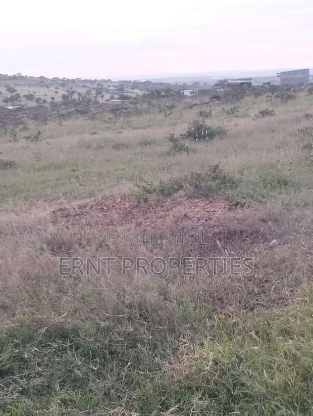 Two Adjacent Quarter Acre Plots in Malili Mukaa - thumbnail 8