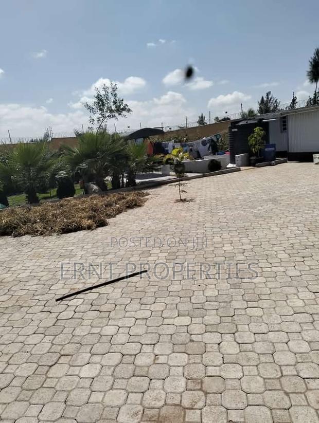 Two Adjacent Quarter Acre Plots in Malili Mukaa - thumbnail 5