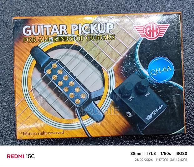 Guitar Pickup - main view