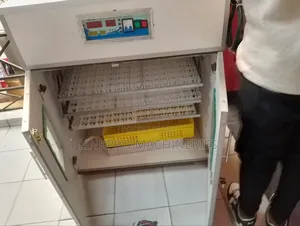 526 Ac/Dc Eggs Incubator
