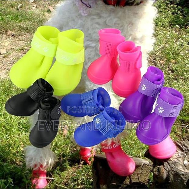 Dog Waterproof Shoes-s - main view