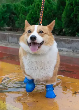 Non Slip Silicone Dog Boots