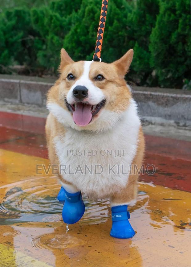 Non Slip Silicone Dog Boots - main view