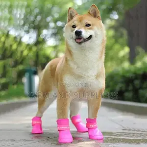 Waterproof Shoes For Hot Pavement, Snow, Mud, And Rain-s