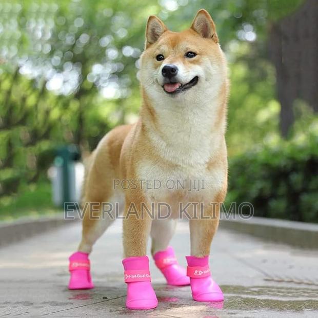 Waterproof Shoes For Hot Pavement, Snow, Mud, And Rain-s