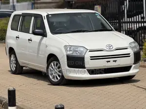 Toyota Succeed 2019 White