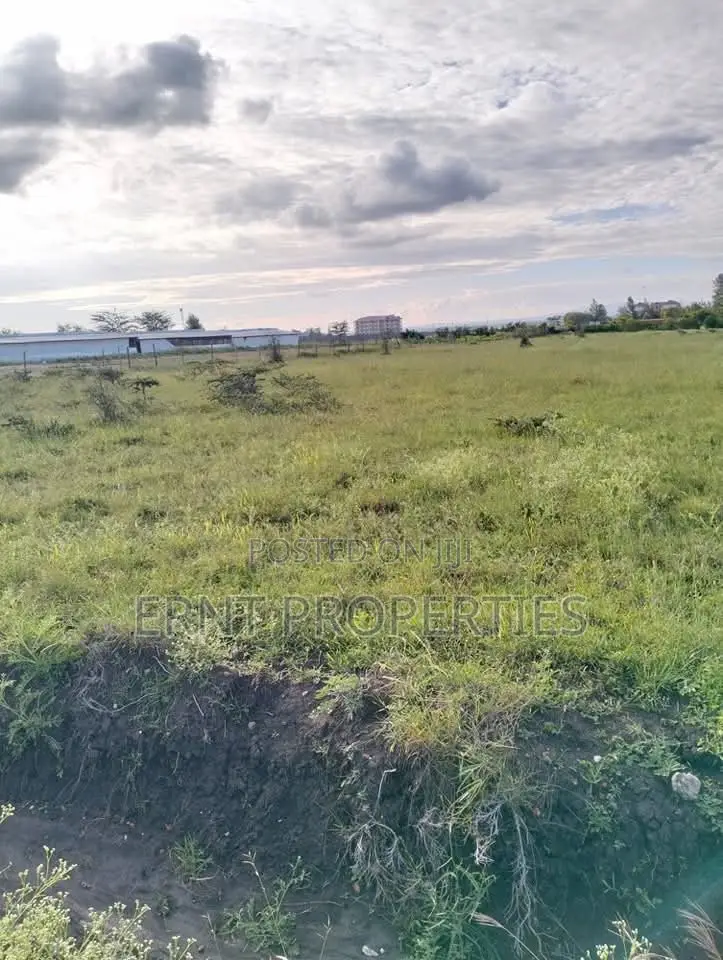 5 Prime1/4 Acre Plots for Sale Near Kag University Area, Kitengela