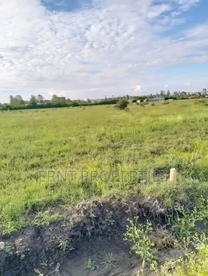 5 Prime1/4 Acre Plots for Sale Near Kag University Area, Kitengela