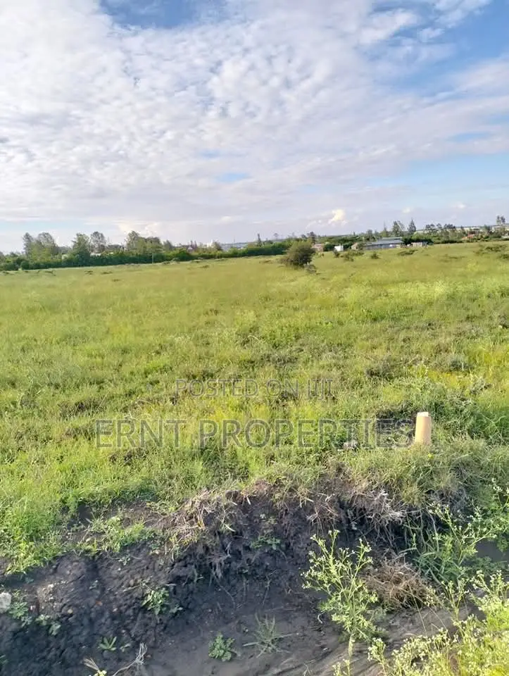 5 Prime1/4 Acre Plots for Sale Near Kag University Area, Kitengela