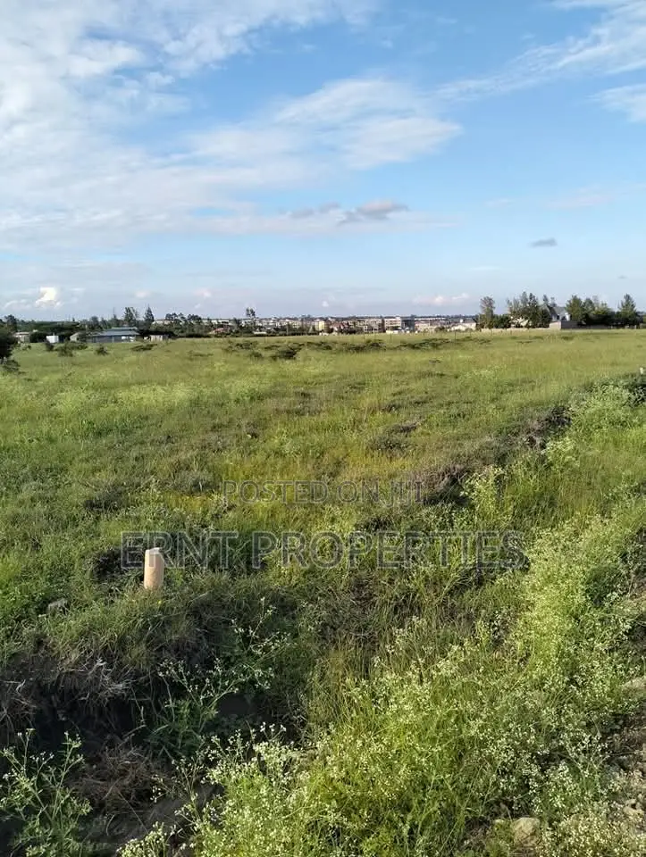 5 Prime1/4 Acre Plots for Sale Near Kag University Area, Kitengela