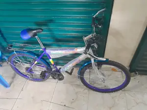 Victory Size 24 Bike