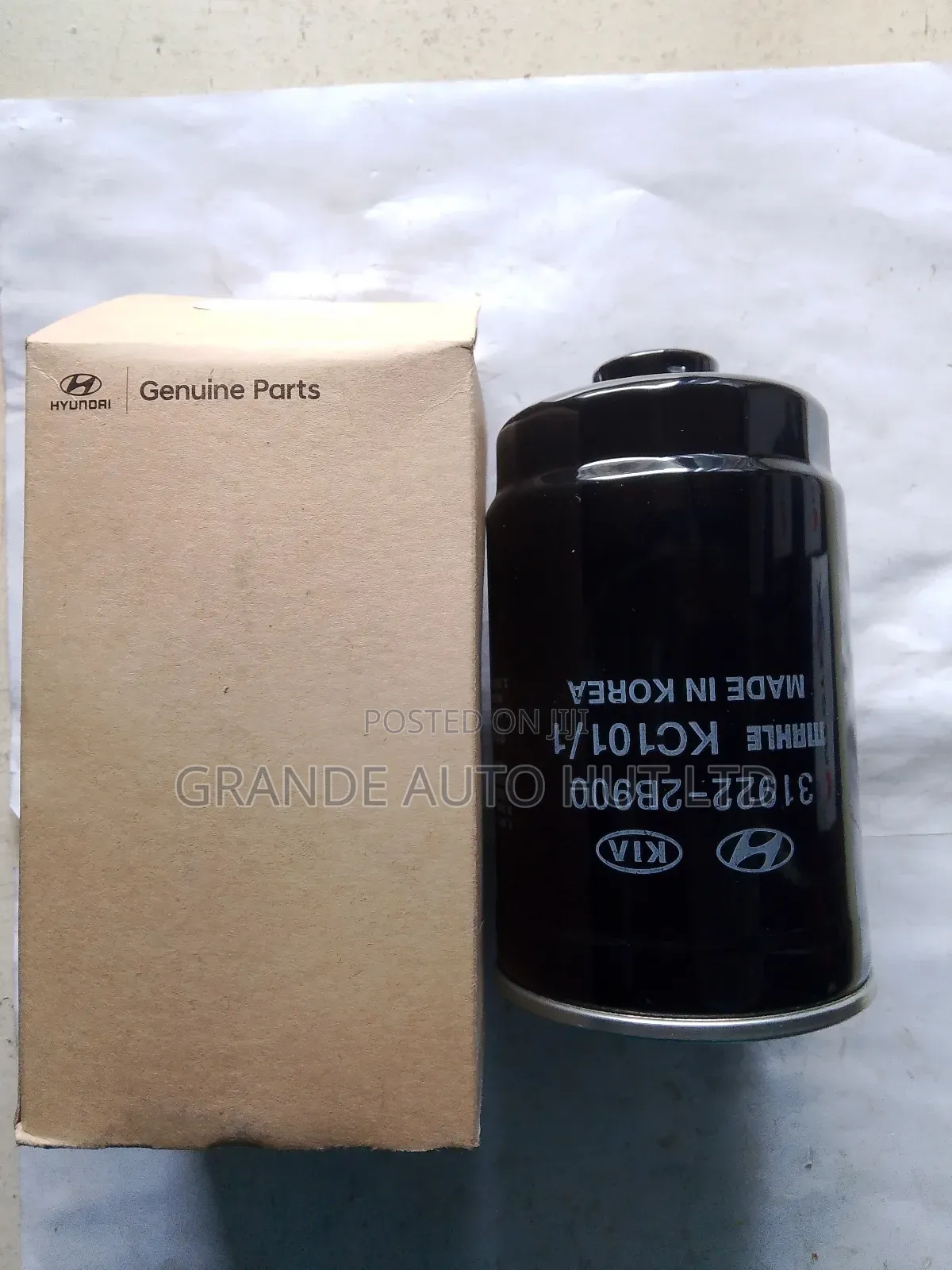 Fuel Filter for Hyundai Santa Fe (Genuine Parts)