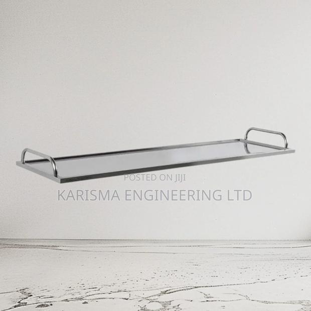 Stainless Steel Body Tray