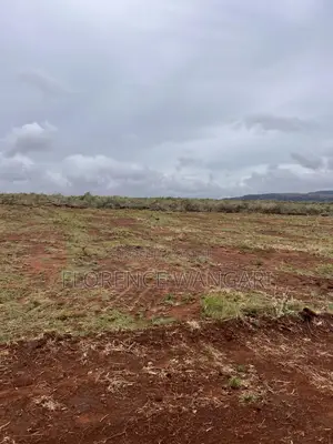 50*100plots for Sale in Nachu Mikuyuini at 400,000kes