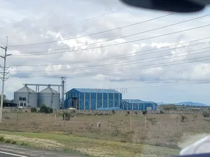 Factory For Sale