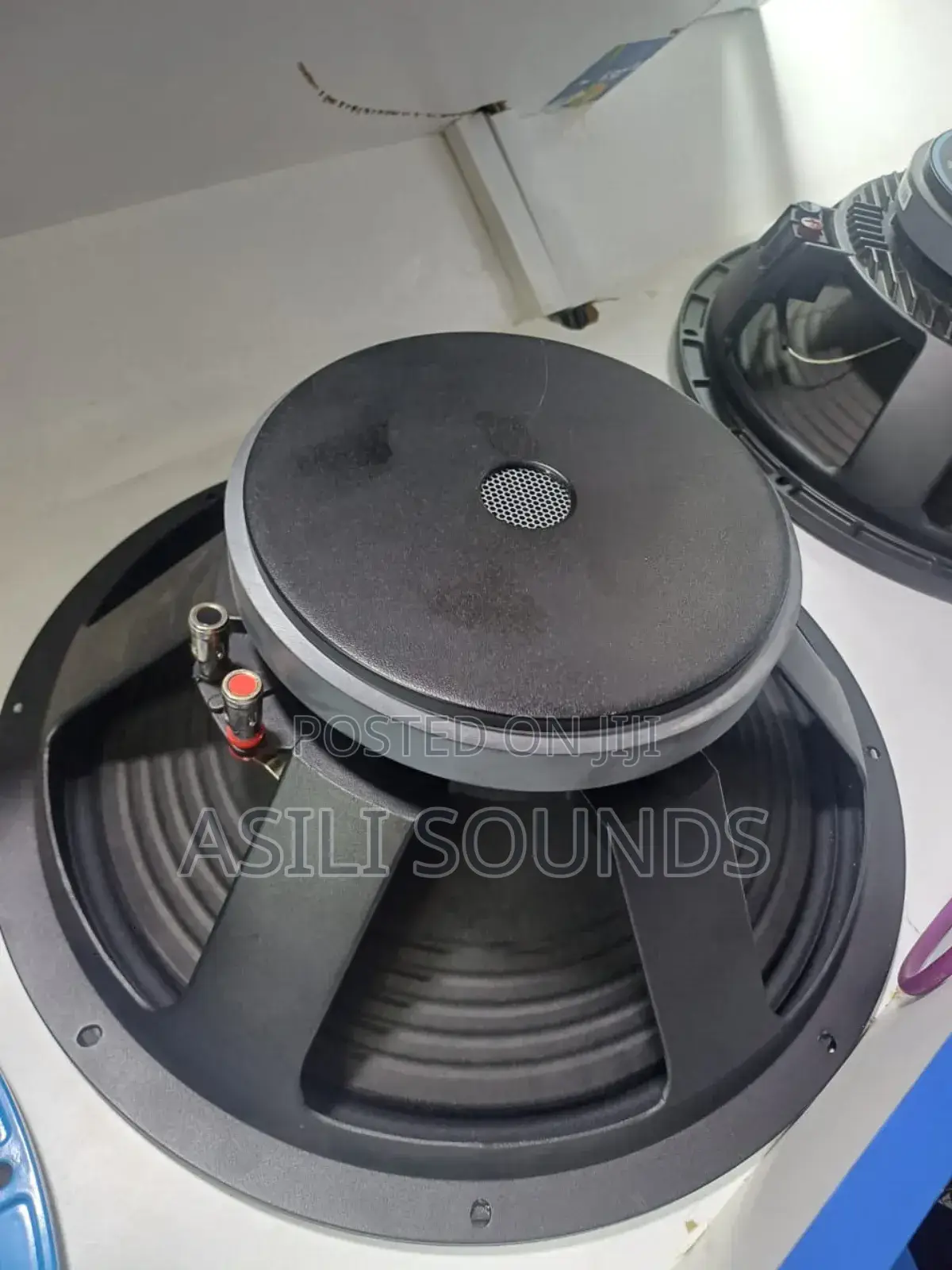 Professional Powered Naked Speaker