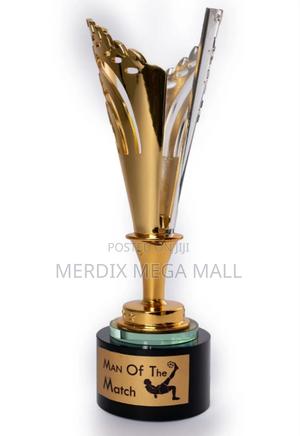 Big Trophy Award,Trophies, Trophy - thumbnail 2