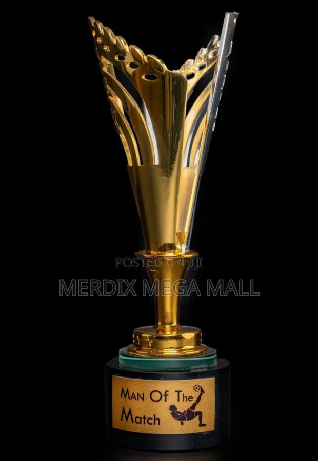 Big Trophy Award,Trophies, Trophy - thumbnail 3