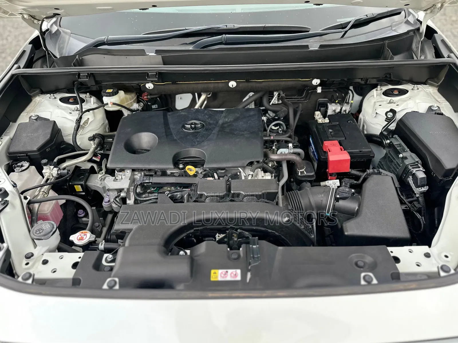 Toyota RAV4 XLE Premium AWD 2019 White