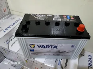 Varta T110 Automotive Battery