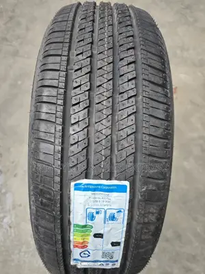 225 /55 R19 Bringstone Tyres (Ecopia)