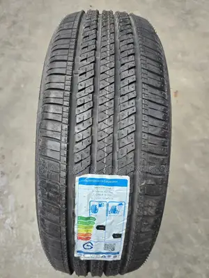 225 /55 R19 Bringstone Tyres (Ecopia)