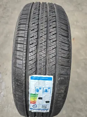 225 /55 R19 Bringstone Tyres (Ecopia)