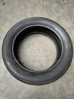 225 /55 R19 Bringstone Tyres (Ecopia)