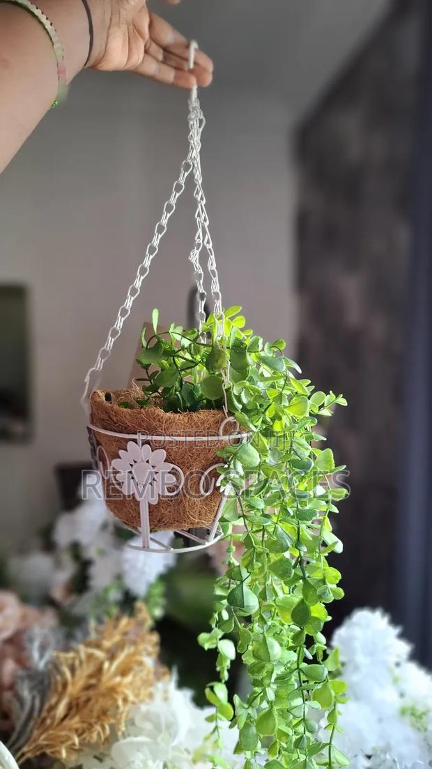 Hanging Flowers - thumbnail 2