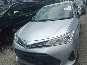 Toyota Axio 2018 Silver