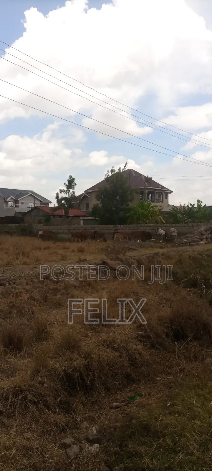 Premium 50x100 Plot for Sale – Kamakis Bypass (Near Karuguru Plaza)