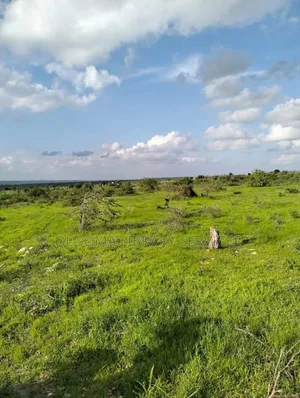 Last Chance to Own a Piece of Lukenya's Magic 4 Exclusiv 1⁄8-Acre Plot