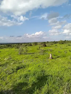 Last Chance to Own a Piece of Lukenya's Magic 4 Exclusiv 1⁄8-Acre Plot