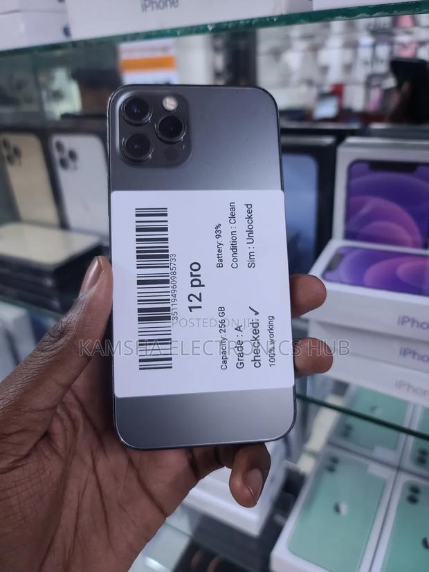 Apple iPhone 12 Pro 256 GB Gray - main view