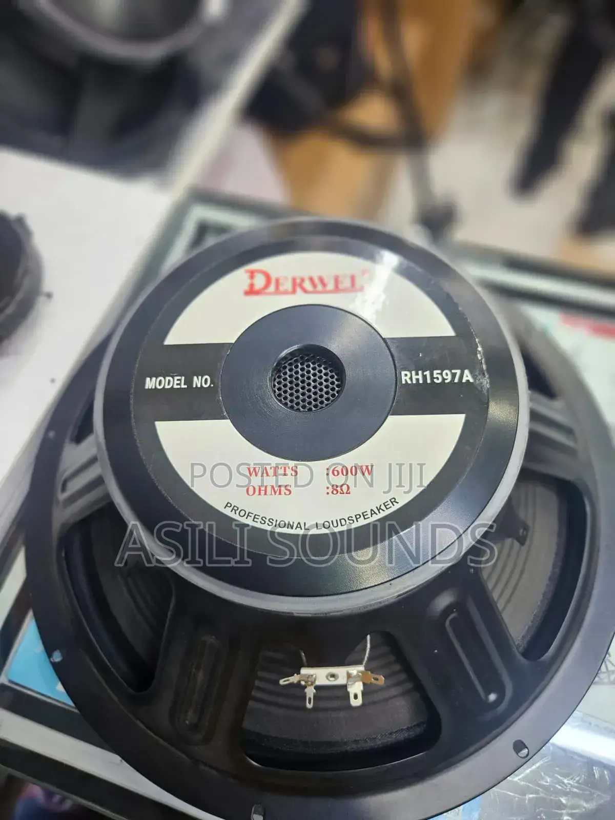 Derwel Rh1597a Professional Loudspeaker