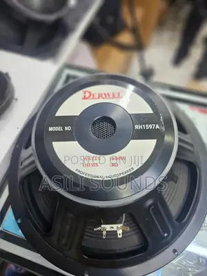 Derwel Rh1597a Professional Loudspeaker