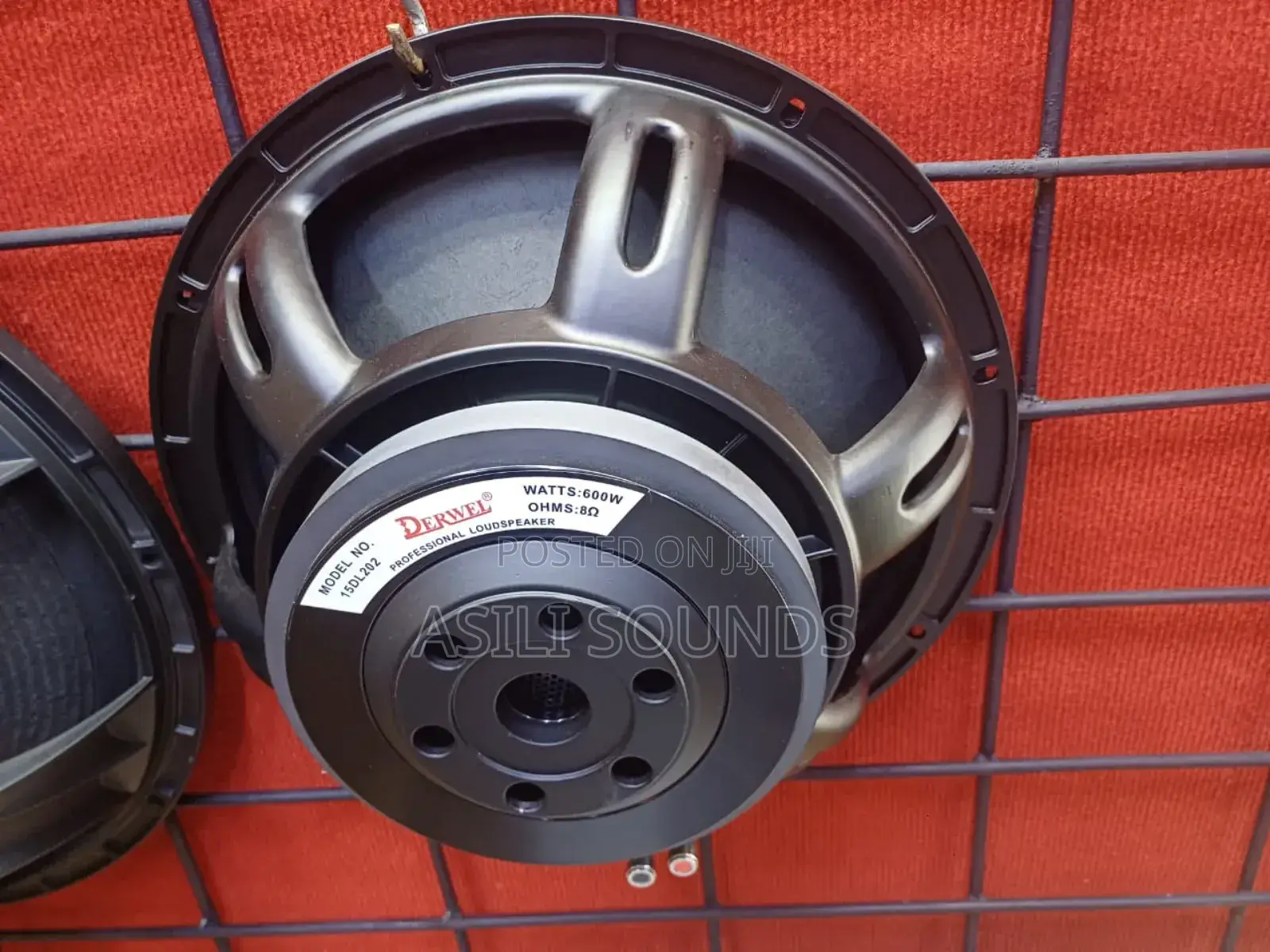 Derwel Professional Loud Speakers