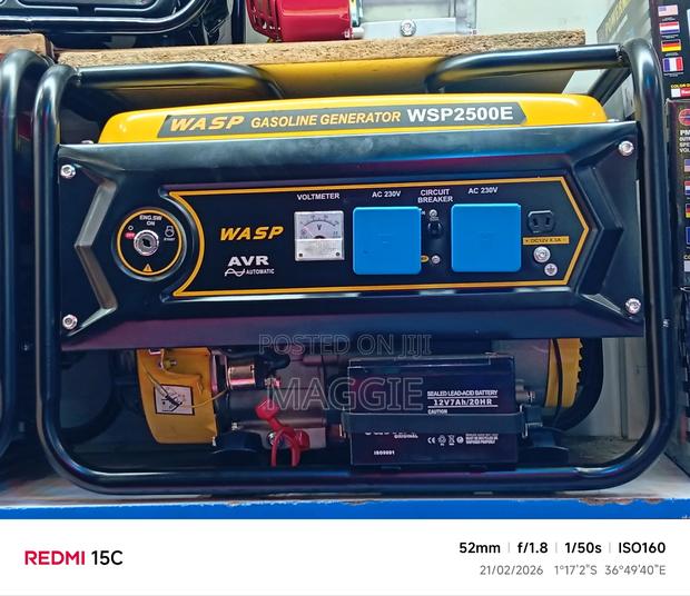 Wasp Gasoline Generator Wasp 2500e - main view