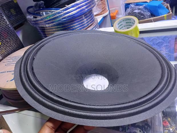 Raw Loudspeaker Paper Cone - main view